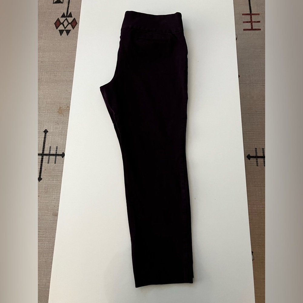 Women’s Alfani Dress Pants